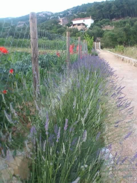 Villa Mora Banjol Camera foto