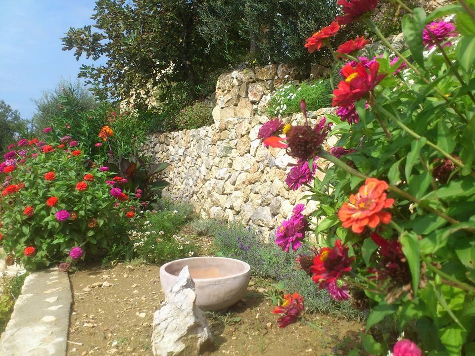 Villa Mora Banjol Esterno foto
